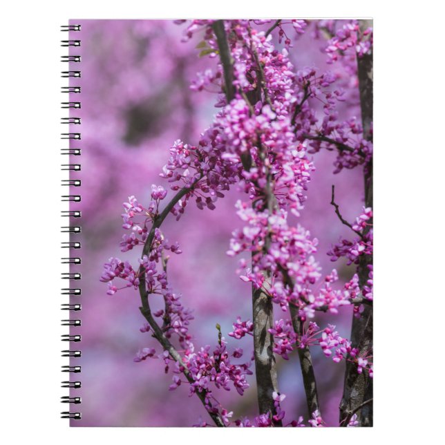 Cuaderno Avondale Redbud Art (Frente)