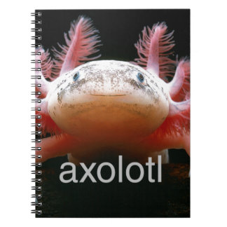 Cuaderno Axolotl del Axolotl del Axolotl del Axolotl