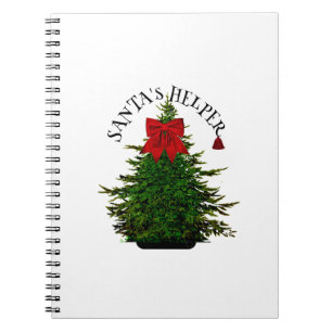 CUADERNO AYUDA DE VACACIONES DE SANTA