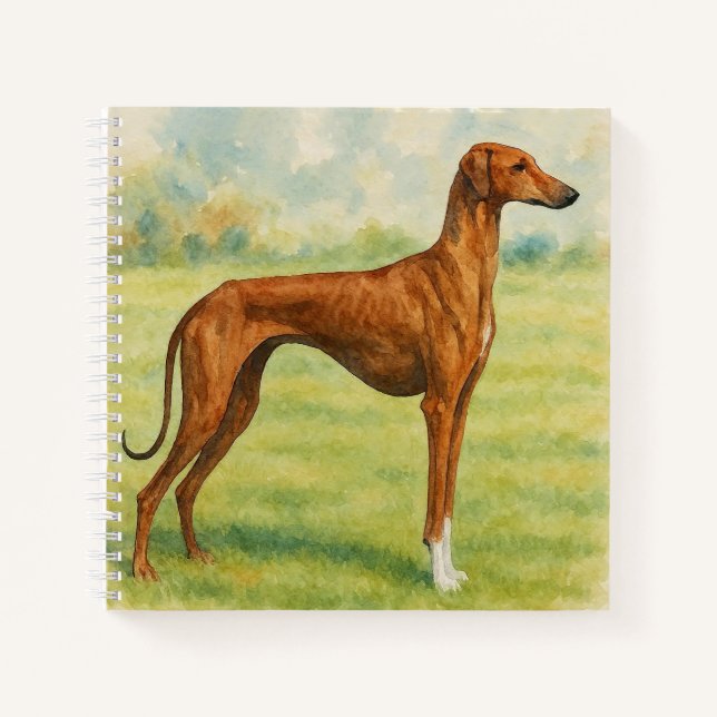 Cuaderno Azawakh (Anverso)