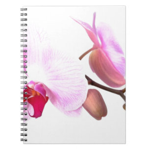 Cuaderno Aziza Orchid Blossoms