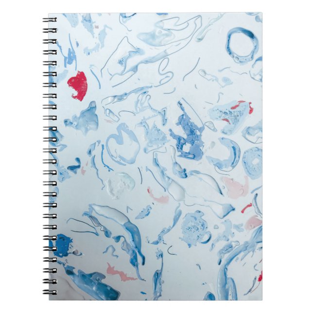 Cuaderno Azul (Frente)