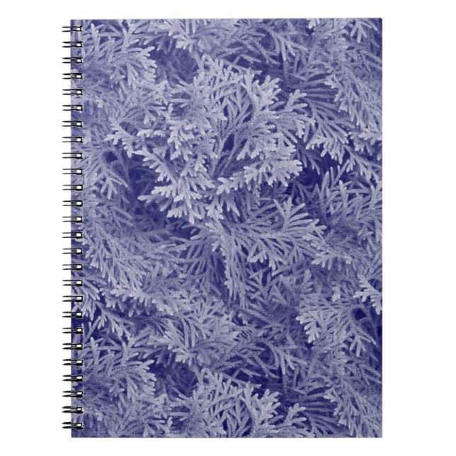 Cuaderno Azul Fir (Frente)