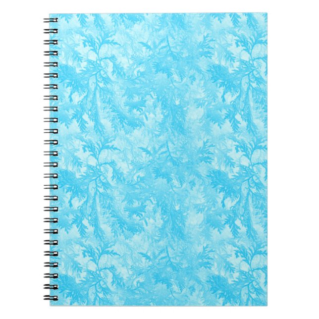 Cuaderno Azul helado (Frente)