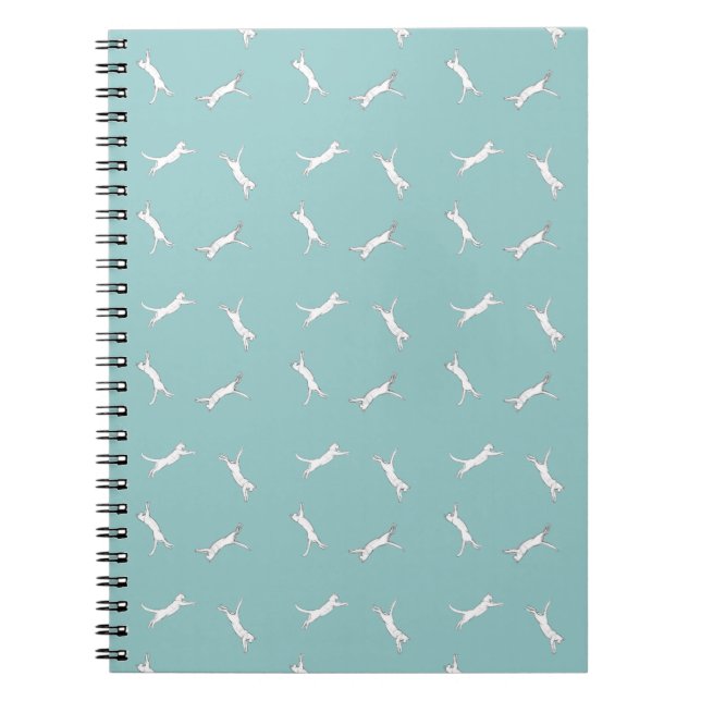 Cuaderno azul kittyrun (Frente)