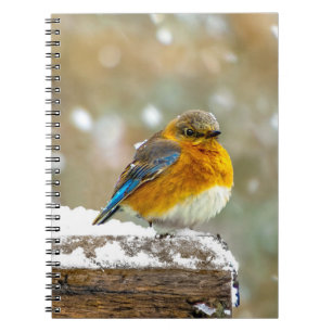 Cuaderno Azulejo Oriental en la Nieve - Fotografía Original