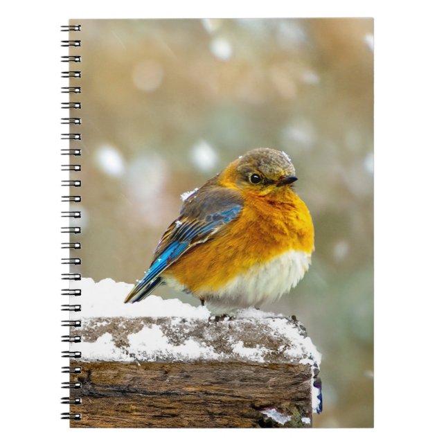 Cuaderno Azulejo Oriental en la Nieve - Fotografía Original (Frente)