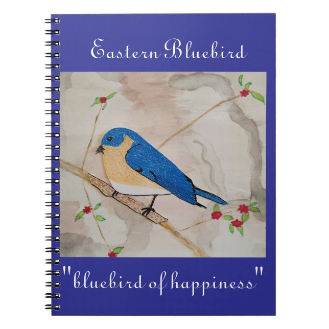 Cuaderno Azulillo Oriental (Frente)