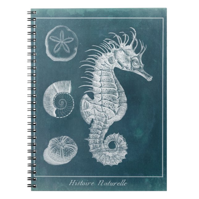 Cuaderno Azure Seahorse Study I (Frente)