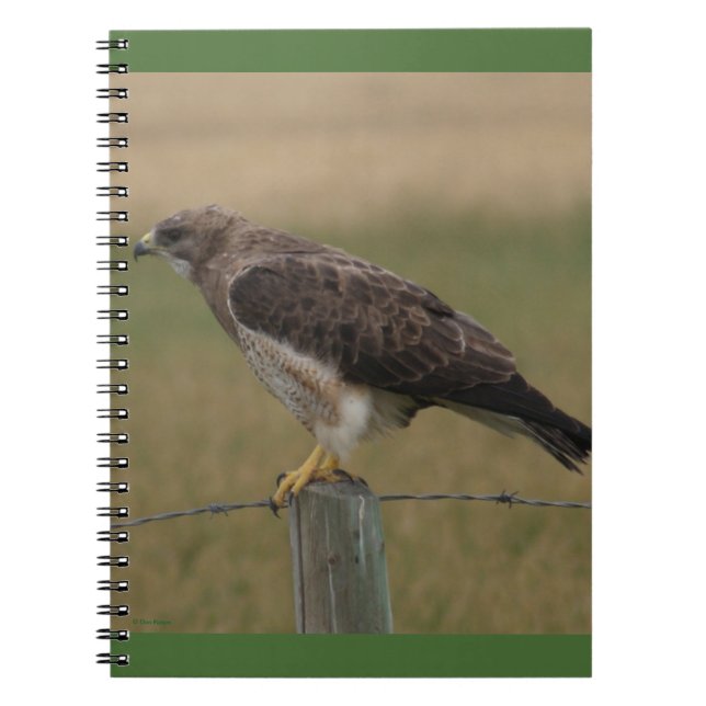 Cuaderno B10 Aguililla de Swainson (Frente)
