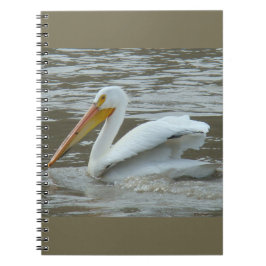 Cuaderno B14 Pelican blanco sobre río Muddy