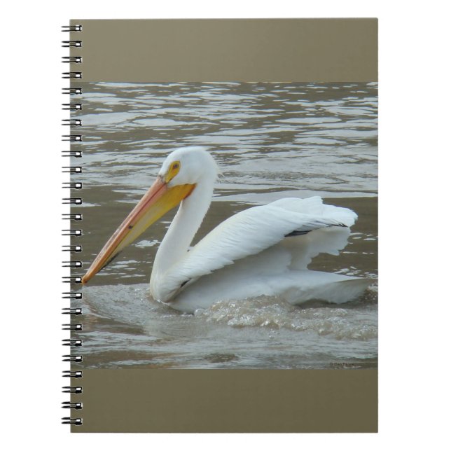 Cuaderno B14 Pelican blanco sobre río Muddy (Frente)