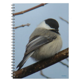 Cuaderno B21 Pollo con tapa negra