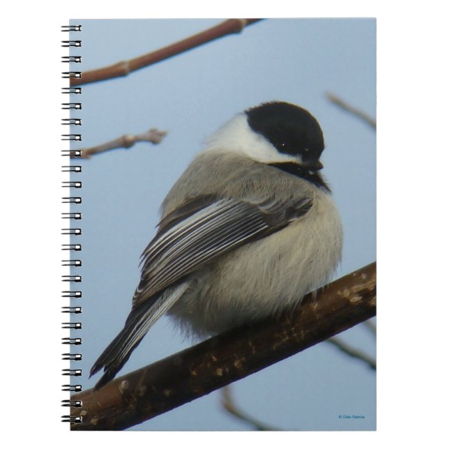 Cuaderno B21 Pollo con tapa negra (Frente)