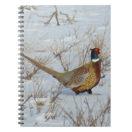 Cuaderno B22 Pheasant de cuello anaranjado en Nieve