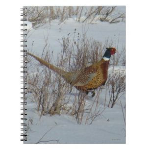 Cuaderno B23 Faisán de collar en la nieve