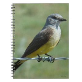 Cuaderno B31 Western Kingbird