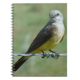 Cuaderno B32 Kingbird