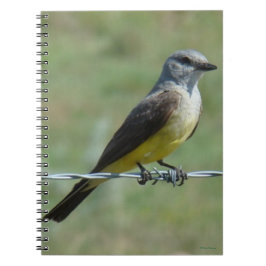 Cuaderno B44 Tirano Occidental