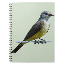 Cuaderno B45 Western Kingbird