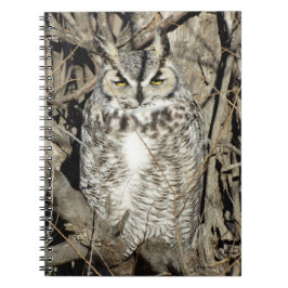 Cuaderno B51 Gran Búho