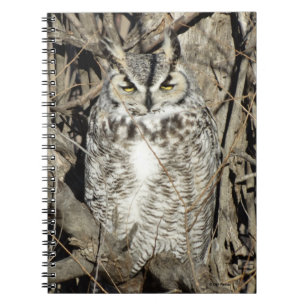 Cuaderno B51 Gran Búho