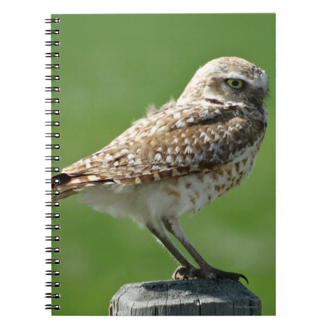 Cuaderno B56 Lechuza de las Vizcacheras (Frente)