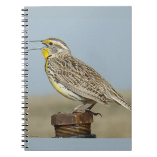 Cuaderno B6 Pradera occidental