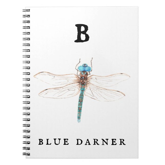 Cuaderno "B" Blue Darner (Frente)