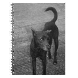 Cuaderno B&W - Aspin