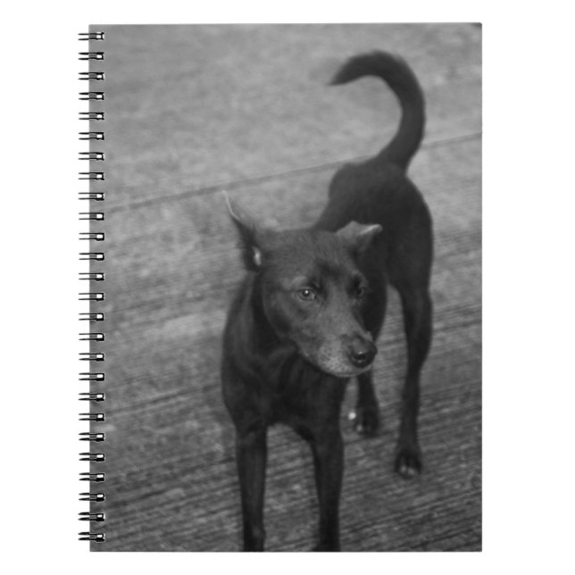 Cuaderno B&W - Aspin (Frente)