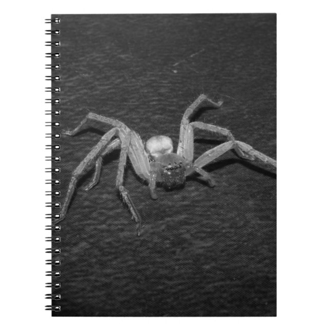 Cuaderno B&W_Huntsman Spider (Frente)