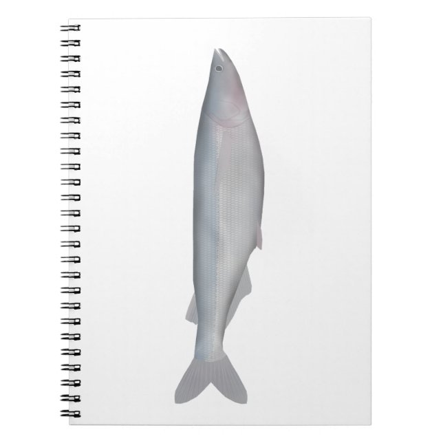 Cuaderno Baboso (Frente)