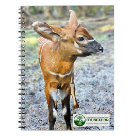 Cuaderno Baby Bongo
