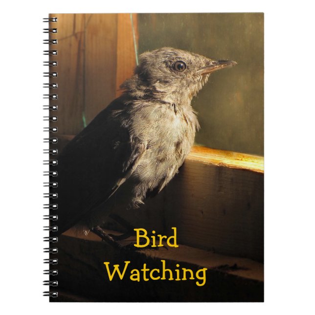 Cuaderno Baby Catbird (Frente)