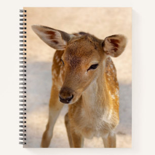 Cuaderno Baby Deer