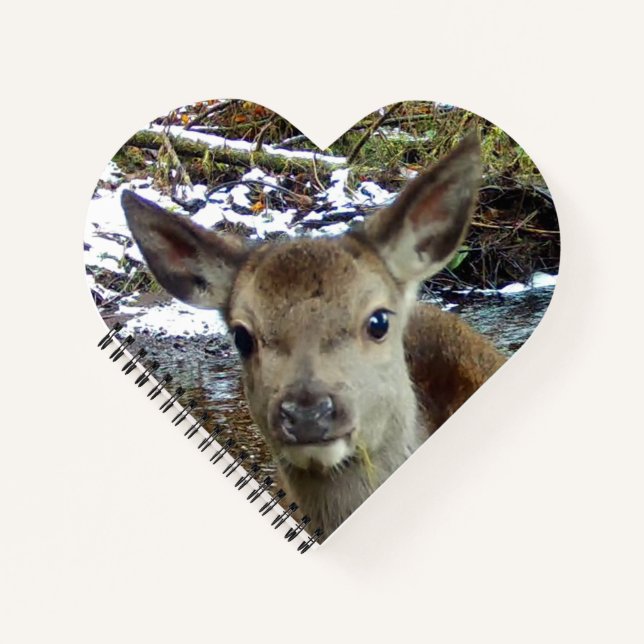 Cuaderno Baby Deer (Anverso)