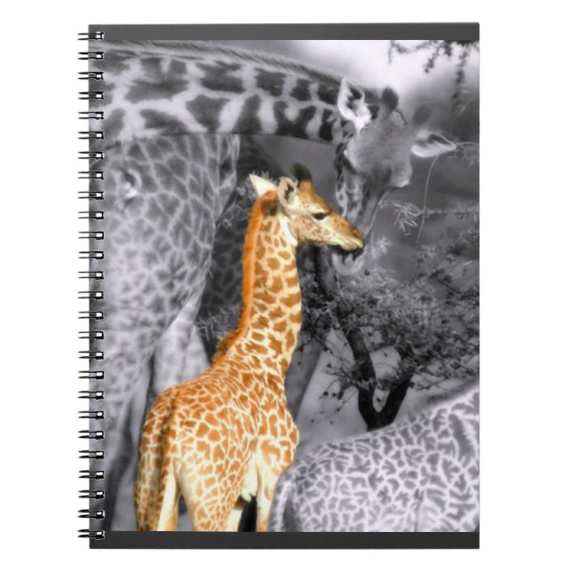 Cuaderno Baby Giraffe (Frente)