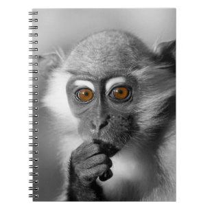 Cuaderno Baby Mangabey Monkey