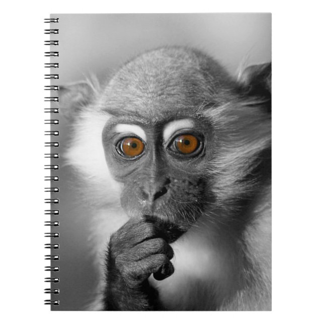Cuaderno Baby Mangabey Monkey (Frente)