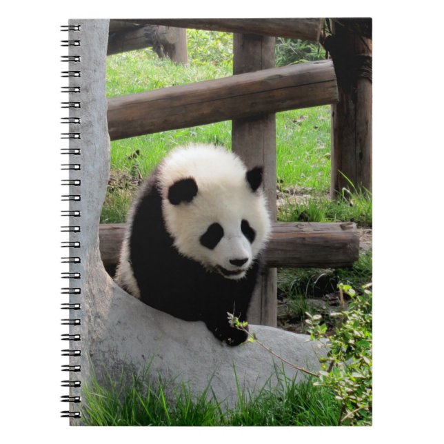 Cuaderno Baby Panda (Frente)