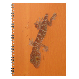 Cuaderno Baby Tokay Gecko