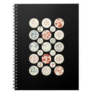 Cuaderno bacteria funny microbiology bacteria science tiny