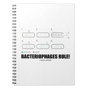 Cuaderno Bacteriófilos ¡Regla! (ADN de virus bacterianos)
