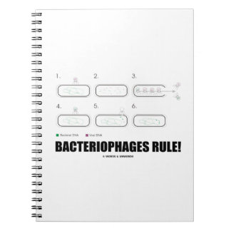 Cuaderno Bacteriófilos ¡Regla! (ADN de virus bacterianos)