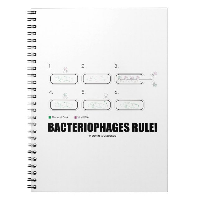 Cuaderno Bacteriófilos ¡Regla! (ADN de virus bacterianos) (Frente)