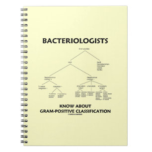 Cuaderno Bacteriólogos conocen la clasificación grampositiv