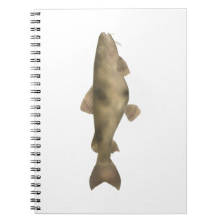 Cuaderno Bagre-sapo