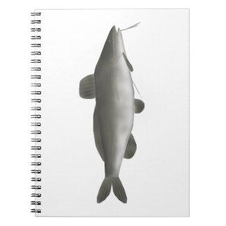 Cuaderno Bagre sudamericano