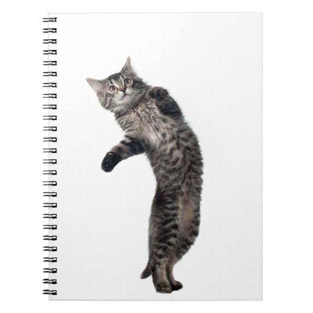 Cuaderno Baile del Asio (Frente)